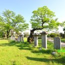 유당공원 내 비군 이미지