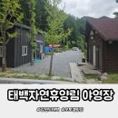 태백고원자연휴양림 | 태백고원자연휴양림 야영장 11번 사이트 계곡물놀이까지 완벽