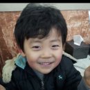 우리가축 인공수정 이미지