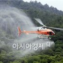 밤나무축산 이미지