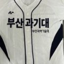 미음야구장 이미지