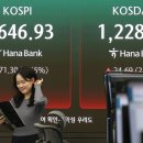 6615 매일일보