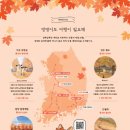 (주)여행이필요해 이미지