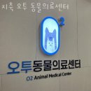 지축오투동물의료센터 | 고양 지축동 동물병원 지축 오투 동물의료센터 위치 오는길 후기