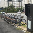 세종도시교통공사 이미지