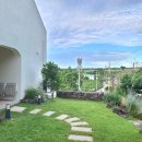 제주보홀 이미지