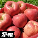 썸머킹 햇사과 2kg 소과 8950원 무배 이미지