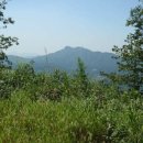 담안농장 이미지