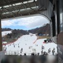 마이제이스 | 아이별 맞춤 스키강습으로 자신감 업!! 비발디파크어린이스키강습후기 (제이스키 최고)