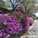 청학동계곡산장