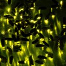 다슬기 반딧불이 이미지