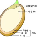 쌀의종류,발아현미밥 짓기,짭쌀의효능,가바의 기능 이미지