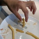 백일대 | [동해 맛집] 천곡동 핫플 ‘버거킹 동해시청점’ 오픈런 후기! (에코백 득템!)