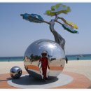 호수목장 이미지