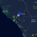 몽키펫 | 인도네시아🇮🇩 | 발리(Bali) | 우붓(Ubud) | 몽키포레스트 • 우붓왕궁 | Day54