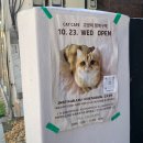 고양이 행복구역 이미지