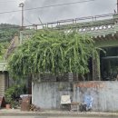 매료 - 사하구 | 진주 철도문화공원 카페 망경동 카페 매료 솔직 후기