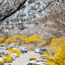 장안3교 이미지