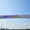 경기도 시흥 관곡지 연꽃테마파크 축제 2026년 연꽃 개화시기 실시간 현황