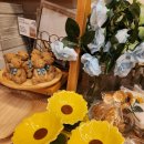 더가마메 | 오사카 가볼만한 곳 | 아코메야 오사카, 내추럴키친 난바시티 일본 주방용품 리빙 잡화점