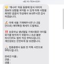 개나리 애견유치원 이미지