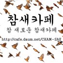 아직까지 자랑스러운 한국의 노래 이미지