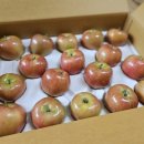 스위트림 이미지