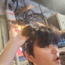 이게 다 개강주간에 일어난 일이라구요?0?