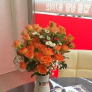 흥부익스프레스 이미지