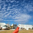 의재미술관 | [광양] 전남도립미술관 / 광양에 위치한 전남도립미술관 &lt;Black &amp; Black&gt; 전시 관람 후기 🖼️