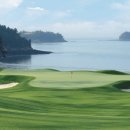 파인우드비치 이미지