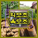 유현로-L 이미지