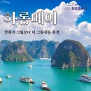 하롱베이 - 속초시 설악금강대교로 58 | 하롱베이