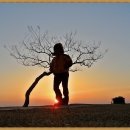 백일홍동산 이미지