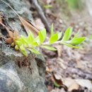 망산공원 이미지