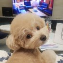 (주)아콩 이미지