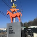군산 피터팬 승마장 커플 체험후기 🐎