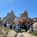 Joshua Tree National Park 1박2일 캠프 둘째날 1 막 이미지