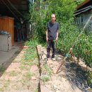 대성이용소 이미지