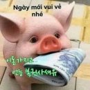 금송아지 이미지