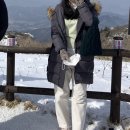 <b>이노빌</b> 2년의 중독자의 후기. 잘 고르는 팁. <b>이노빌</b> 단점.