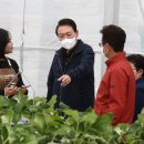 딸기피씨 이미지