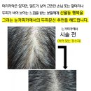눈카피카