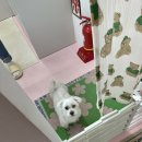 사니정원 이미지