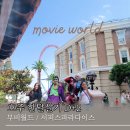 매니아 인형방 | 호주 한달살기 [D+2] 골드코스트 : 아침산책 / 워너브라더스 무비월드 / 콜스 장보기 / 서퍼스...