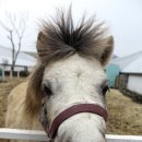 동심의 여행 이미지