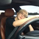 귀족호랑이 이미지