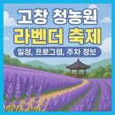 고창이네 | 고창 라벤더 축제