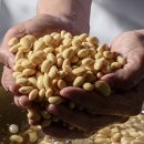 숨쉬는순두부신암점 이미지