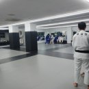 드림바디 유도클럽 괴정관 이미지